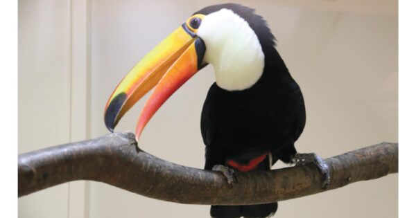 河北町児童動物園