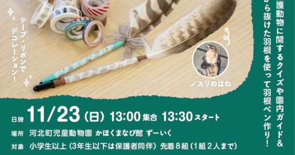命を学ぶ！🕊️ 11/23（日）「救護動物の羽根ペン作り」開催のお知らせ✨