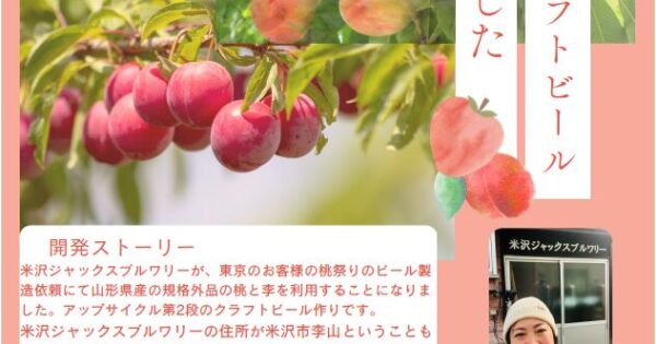 🍑 河北町産の桃とすもものクラフトビールのご紹介