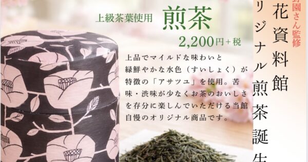 　　🍵おすすめ商品🍵