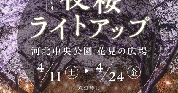 🌸第5回 河北中央公園 夜桜ライトアップ開催のお知らせ🌙
