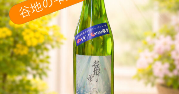 🍶おすすめ商品🍶